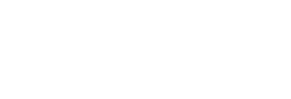 DNS Logo