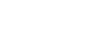 DNS.Net